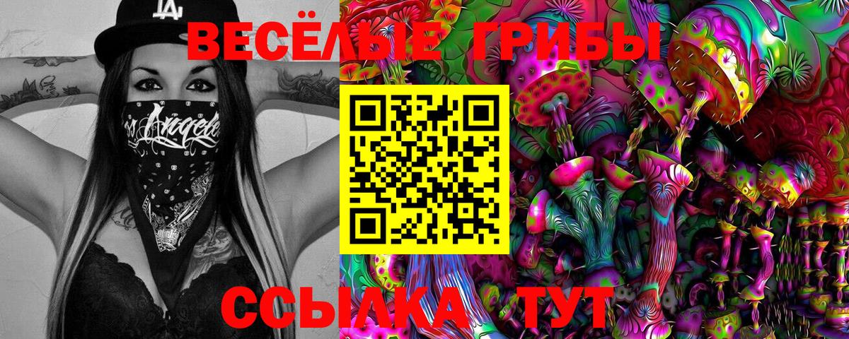 Галлюциногенные грибы Psilocybine cubensis  Вход с VPN  Галлюциногенные грибы мицелий  Топки 