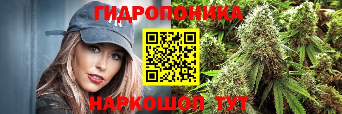 Топки  Каннабис план  Вход с VPN  Канабис план  Шишки марихуана Ganja 